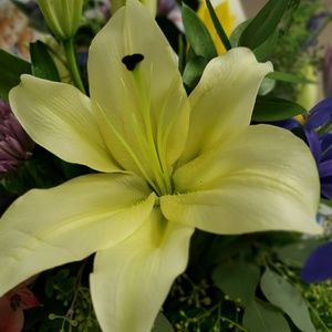 Meet your Posher, Karleen